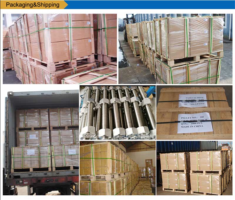 Vlekvrye-staal-List-Bolts-Screw-Hegting-verpakking