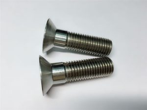 vlekvrye staal torx platkopskroewe / M5 torx skroewe